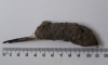 Barn Owl pellet containing Woodcock skull Copyright: Barrie Watson