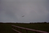 Barn Owl in flight at dusk 2 Copyright: Barn Owl Trust